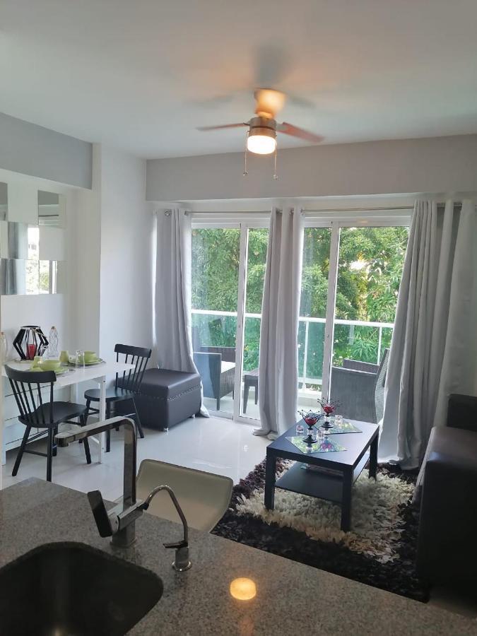 Armonia 408 Apartment In Gazcue Santo Domingo Luaran gambar